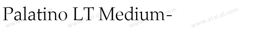 Palatino LT Medium字体转换